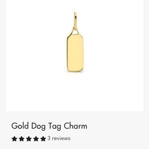 14K Dog Tag charm